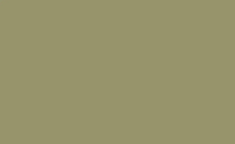 Vert Olive 